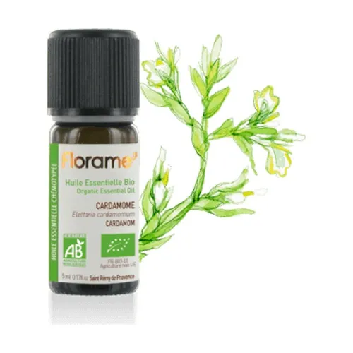 06a78b994a1fc091fecbc8ef43531314-1