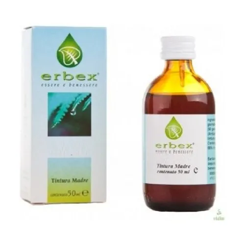 1fd3fa8e7598186caece8bacc8f188fc-1