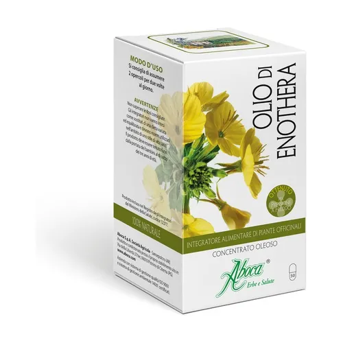 36e3a5472561f9bac98bfbc6ddcbb763-1