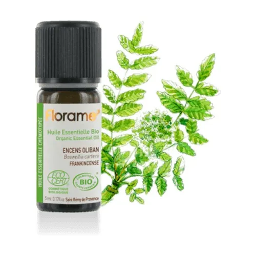 40d40537319bc7ba9fe5299ede6db8ba-1