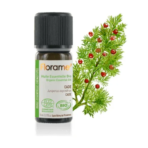 4ad236ea59757a4b34ec55ac0e923a58-1