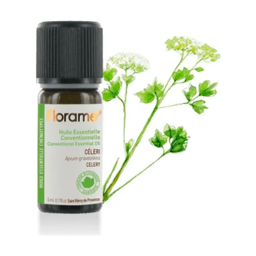 6b11387dc22f90d8db49a1b43b537cbe-1