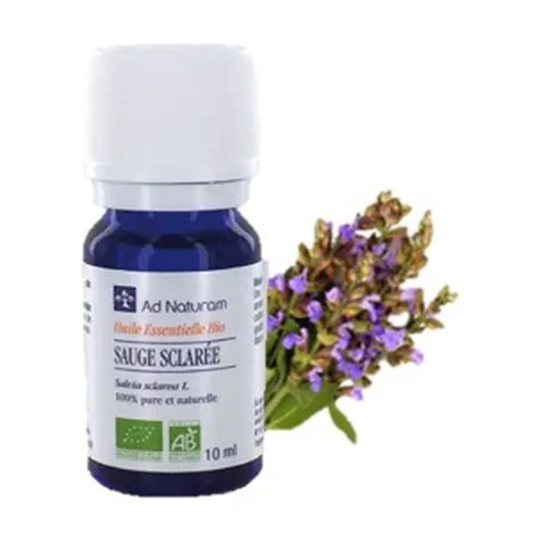 75d9ec7eb00f1f0e28738ab41b446bb6-1