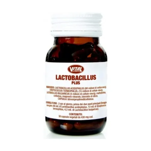 84da7dfcd22123aa1e2a35df642d1714-1