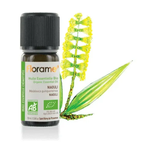 8df9d7bc7af553af01259520b158546f-1