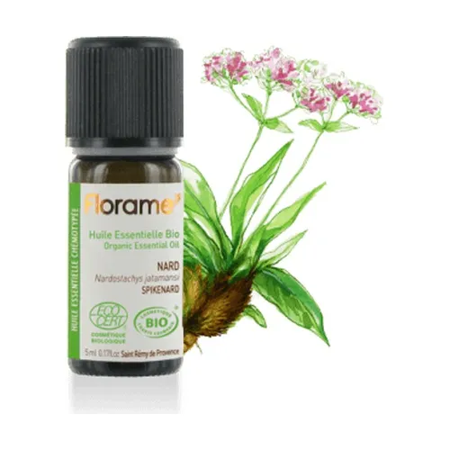 accfdb6651ed13eb6ee1fc39fa4ae398-1