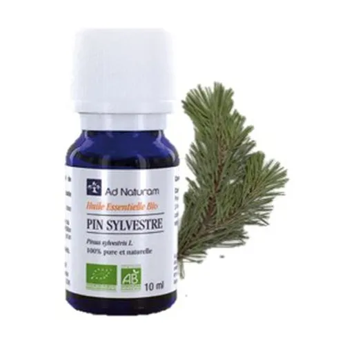 bd5d9e074483747a5e67df07ea72bcc2-1