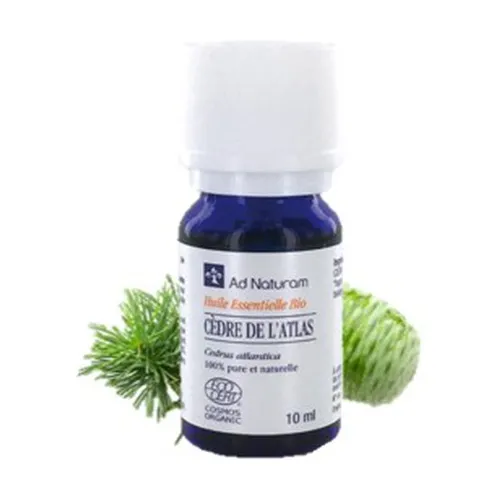 fe58f02bae0d4a5544dc9b45997d365f-1