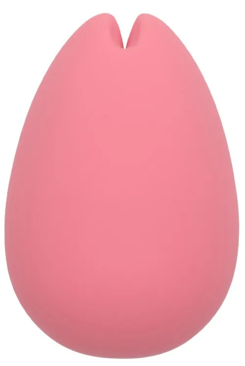 iroha-sakura-nadeshiko-vibrator-2198-131-0000_1-1