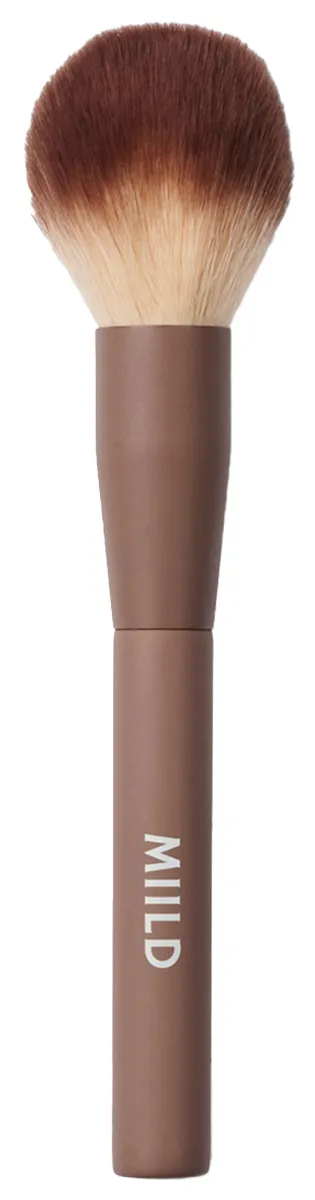 01 Soft Finishing Powder Brush